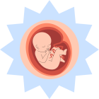 icono-Control-prenatal-GINECOCDMX